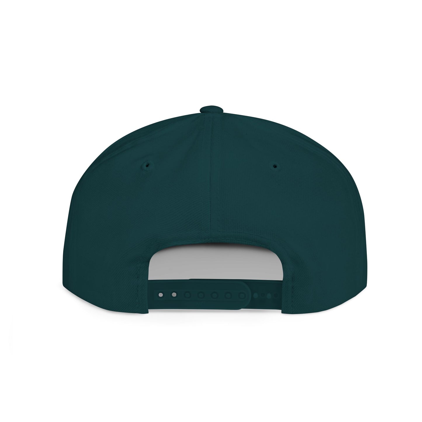 Made you look. Snapback, 15 Farben
